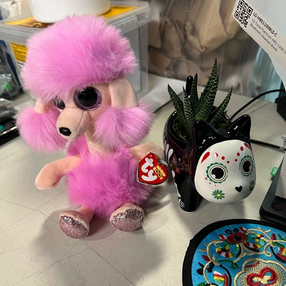 Meet your Posher, Monica - Picture 4 of 5